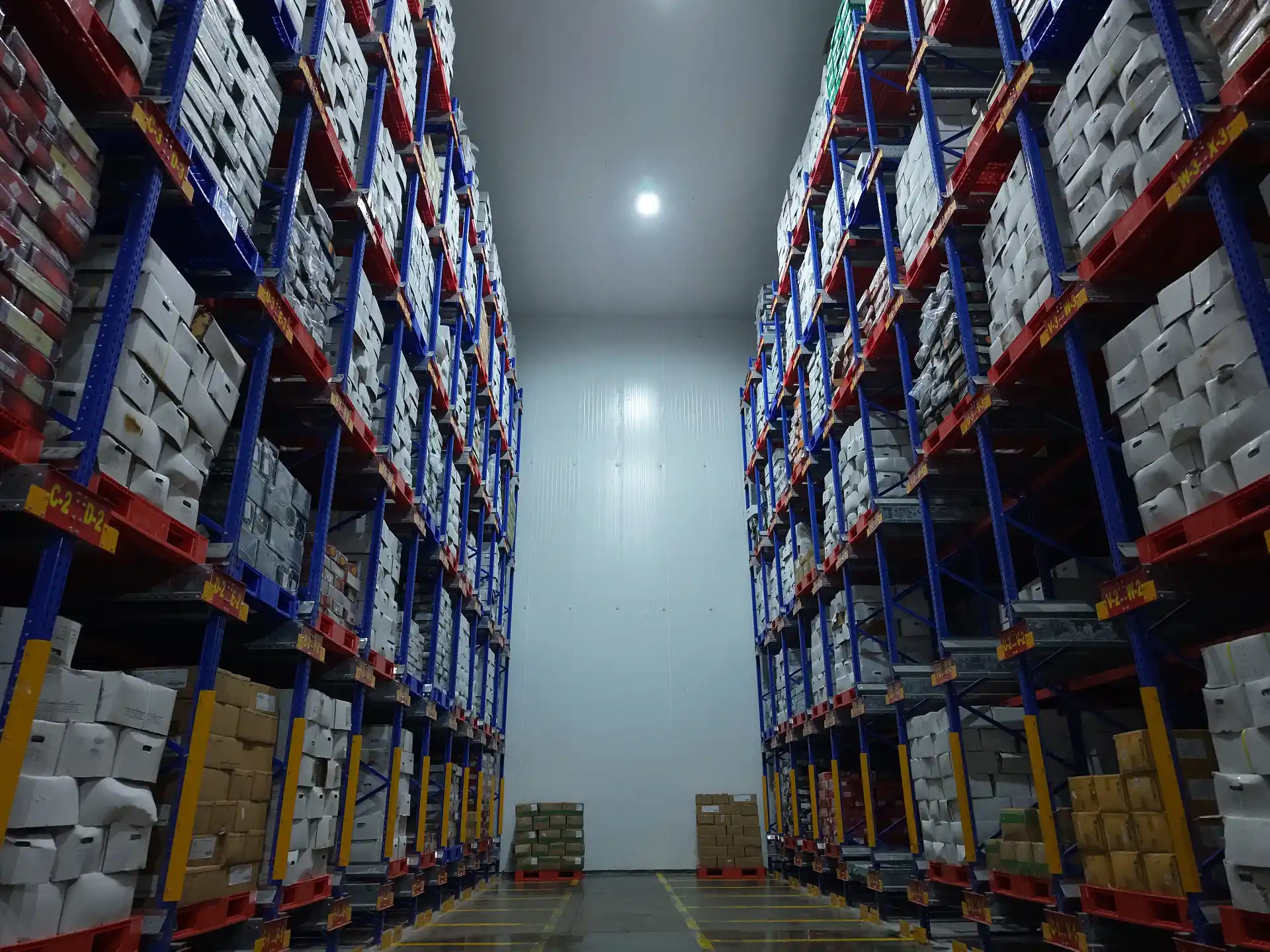 Temperature Controlled Storage for Leading Brands